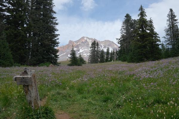 Mt. Hood